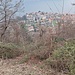 Rovenna