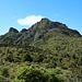 Ausblick vom Helikopterlandeplatz bei der Pinnacles Hut auf die Pinnacles.