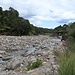  Kauaeranga River bei niedrigem Wasserstand