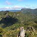 Ausblick auf die Waldwildnis Coromandels