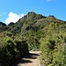 Weg nach der Pinnacles Hut