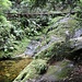 Webb Creek Track