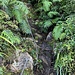 Kette oben - so rutschig wie es ist, doch nötig.