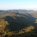 Durch diese Waldwildnis verläuft der Aufstieg.
