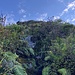 Nach der Kletterstelle geht's durch Sträucher steil bergauf.