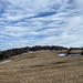 Unterwegs zwischen Klínovčík und Nové Město - Seitenblick zum Gipfelbereich des Bouřňák. Vor den Bäumen ist mit Fantasie auch das Gebäude der Bergwacht zu erahnen.