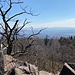 Vlčí kámen - Ausblick in etwa südliche/südöstliche Richtung, wo die Milešovka hinter dem Baum im Dunst zu erahnen ist.