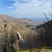 Unterwegs zwischen Klínovčík und Nové Město - Ausblick. Unten fährt gerade ein RCAS-Zug (vermutlich 811 021-5, Baafx ...29 533-3, 811 020-7) talwärts. Hinten ist das České středohoří (Böhmisches Mittelgebirge), u. a. mit der Milešovka im Dunst zu erahnen.