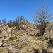 Pramenáč - Blick auf freiliegenden Fels, ca. 200 m südlich des Gipfels.