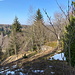 Unterwegs am Klínovčík - Blick vorbei am Schanzentisch (K79). Früher führte der Auslauf ins Tal der Divoká Bystřice (Wilden Weißeritz). Heutzutage ist dieses nur mit Fantasie zu erahnen.
