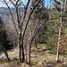 Unterwegs am Klínovčík - Blick vom ehemaligen Schanzentisch der größeren Schanze (K79).