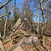 Warteck - Im Gipfelbereich befinden sich einige Felsen.