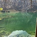 Wasserspiegelungen