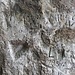 Bereits um 1859 wurde dieser Steig begangen