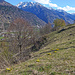 Chistehorn