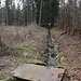 Münzbach zum Lother Teich