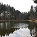 Lother Teich/Mühlteich