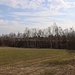 Halde der Grube Junge Hohe Birke