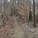 Wanderpfad