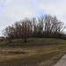 Halde