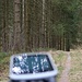 Nidrum Wald