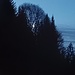 alla mattina la luna risplende