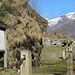 Forte di Bara