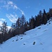 Torno a sin attraversando questo bosco