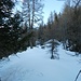 Tratto nel bosco in mezzacosta verso sin