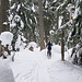 Im Wald ganz am Beginn