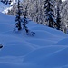 Schnee, viel Schnee