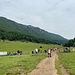 Sysľovisko Biele vody - Blick über die momentan (Wochenende) sehr gut besuchte Wiese, auf der etliche Esel, vor allem aber unzählige Europäische Ziesel zu Hause sind...