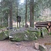 Am Teufelsstein