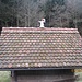 Schlafwandler im Schwarzenbruch