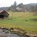 Idylle in Kaltbrunn