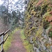 Wegstück zwischen Kaltbrunn und Felsenkapelle