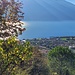 Oberhalb von Limone, die Sonne geht hinter dem Monte Baldo Massiv auf.
