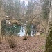 Tümpel beim Jägerheim<br /><br />