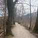 in der Elfenau-Gegend<br /><br />