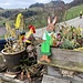 ... das Pintli Ifenthal