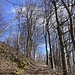 lauschig zur Einmündung auf P. 955