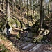 erbauliches Wandern durch die Oberi Schlucht ...
