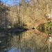 ... zum abschliessend lieblichen (Stau)-Weiher