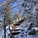 noch leicht winterlicher Zustieg ...