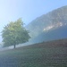 Die Sonne bricht nun auch im Tal durch. Teile der Hausener Wand sind nun erkennbar.