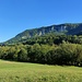 Rückblick zur Hausener Wand. Es handelt sich um eine über 1 km lange Abbruchkante an der Südwestseite des Michelsbergs.