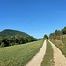 Herrlicher Höhenweg.