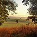 Goldener Septembermorgen auf dem Michelsberg.