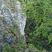 Der Zustieg zu den Kletterfelsen bietet eine schöne Abwechslung und tolle Fotomotive.