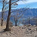 salendo all'alpe Vicania